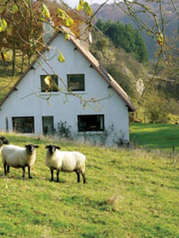 Chambre D'Hotes Les Champarts Tourville-la-Chapelle Exterior foto